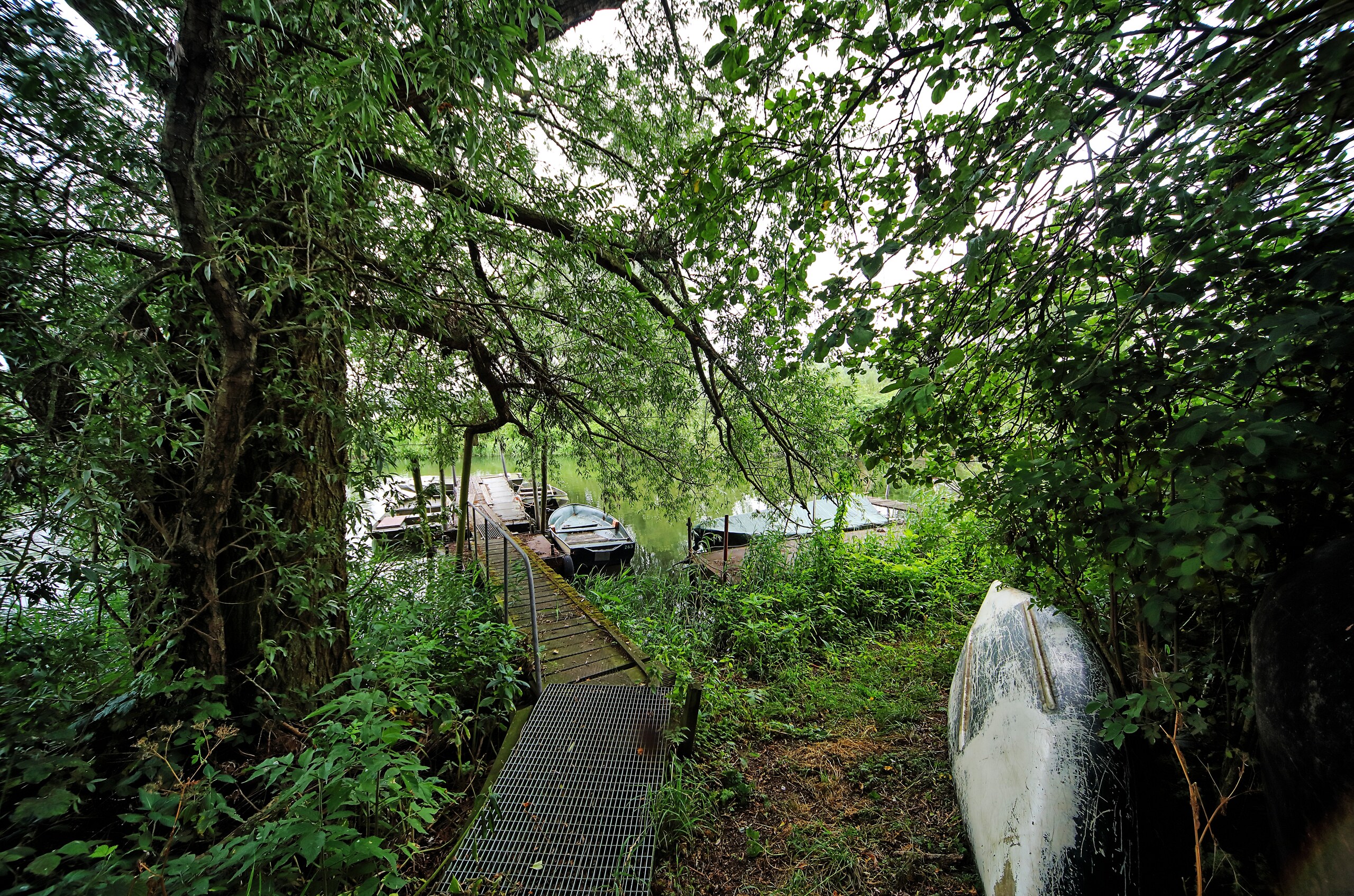 Bootjes aan een kreek in de Brabantse Biesbosch