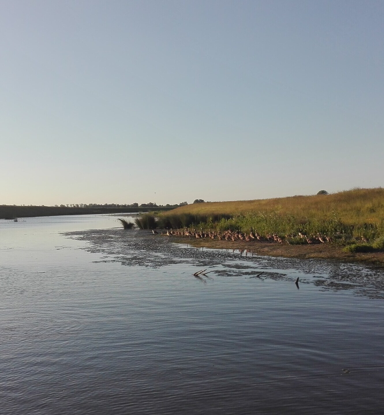 Stil water in de Brabantse Biesbosch