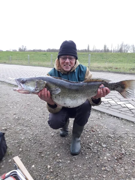 Snoekbaars van Henk