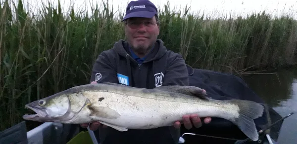 Snoekbaars vanuit de boot